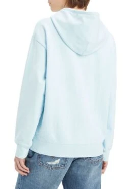 Levis Sweat LEVI'S® STANDARD HOODIE Omphalodes